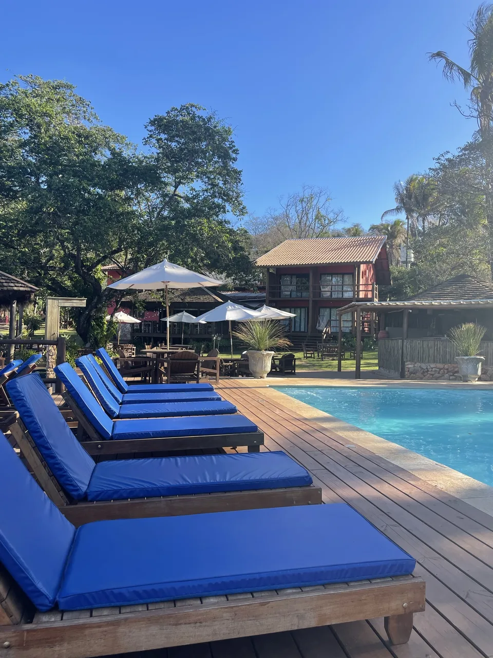Piscina e áreas de descanso — foto 2