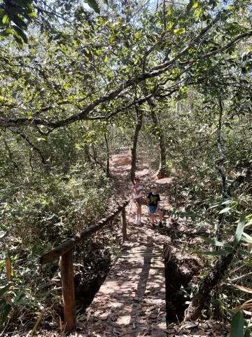 Trilha do Tamanduá — foto 1